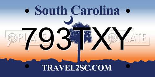 793TXY South Carolina License Plate