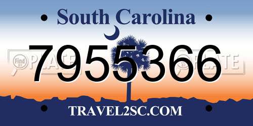 7955366 South Carolina License Plate