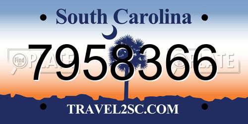 7958366 South Carolina License Plate