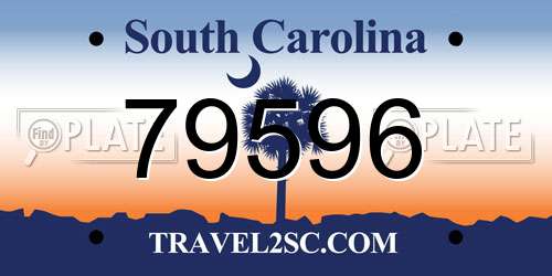 79596 South Carolina License Plate