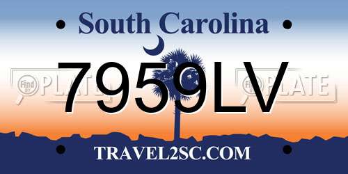 7959LV South Carolina License Plate