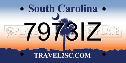 7973IZ South Carolina License Plate