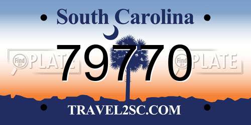 79770 South Carolina License Plate