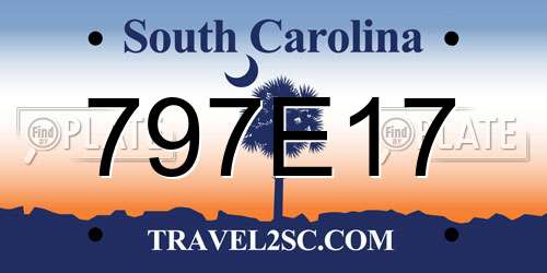 797E17 South Carolina License Plate