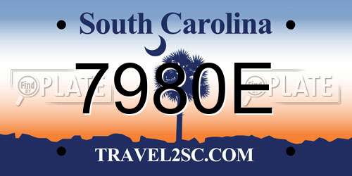 7980E South Carolina License Plate