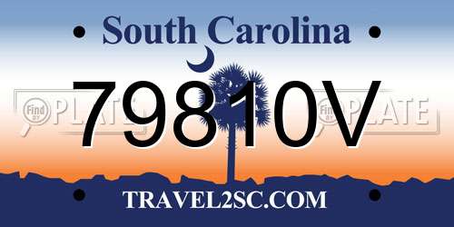 79810V South Carolina License Plate
