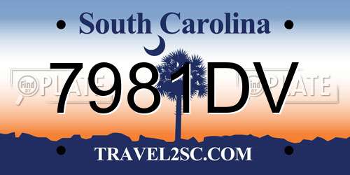 7981DV South Carolina License Plate