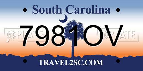 7981OV South Carolina License Plate