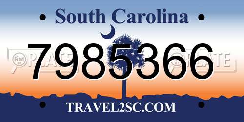 7985366 South Carolina License Plate