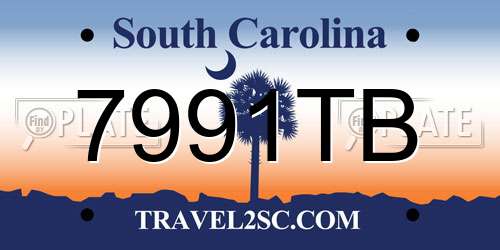 7991TB South Carolina License Plate