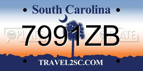 7991ZB South Carolina License Plate