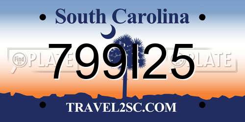 799I25 South Carolina License Plate