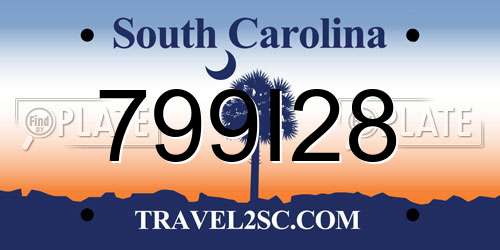 799I28 South Carolina License Plate