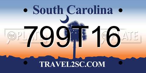 799T16 South Carolina License Plate