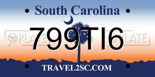 799TI6 South Carolina License Plate
