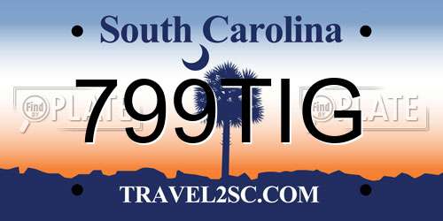 799TIG South Carolina License Plate