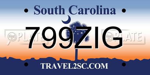 799ZIG South Carolina License Plate