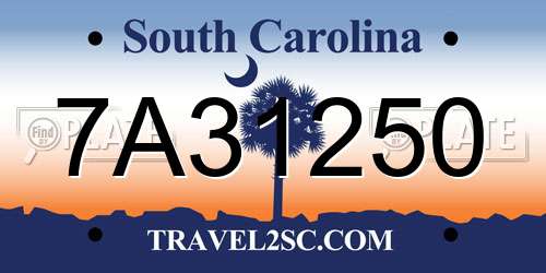 7A31250 South Carolina License Plate