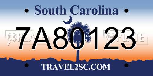 7A80123 South Carolina License Plate