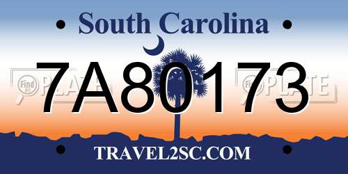 7A80173 South Carolina License Plate