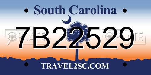 7B22529 South Carolina License Plate