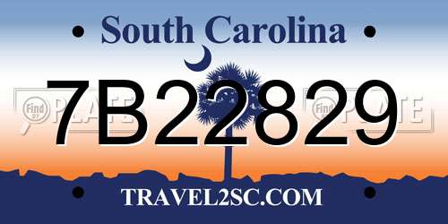 7B22829 South Carolina License Plate