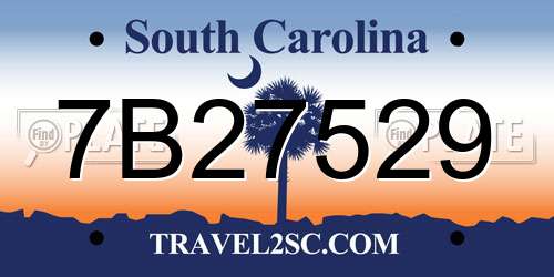 7B27529 South Carolina License Plate