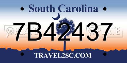 7B42437 South Carolina License Plate