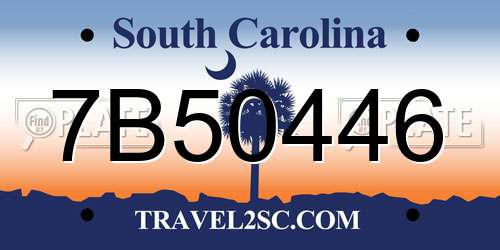 7B50446 South Carolina License Plate