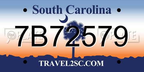7B72579 South Carolina License Plate