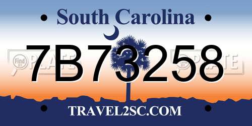 7B73258 South Carolina License Plate