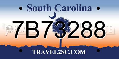 7B73288 South Carolina License Plate