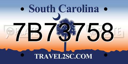 7B73758 South Carolina License Plate