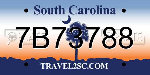 7B73788 South Carolina License Plate