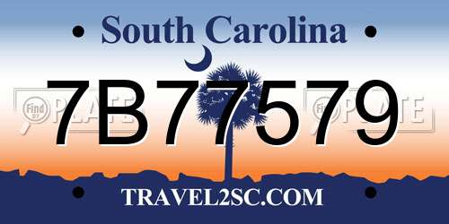 7B77579 South Carolina License Plate