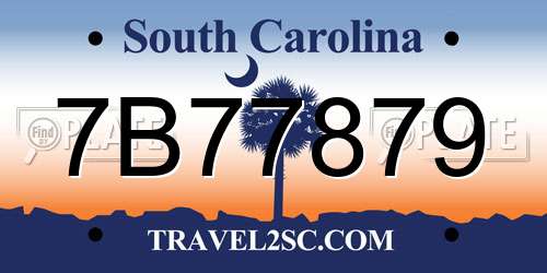 7B77879 South Carolina License Plate