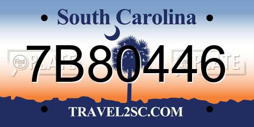 7B80446 South Carolina License Plate