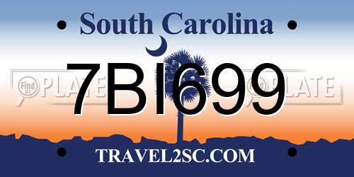 7BI699 South Carolina License Plate