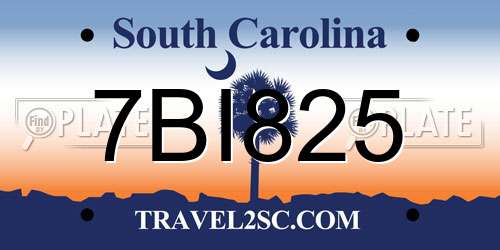 7BI825 South Carolina License Plate