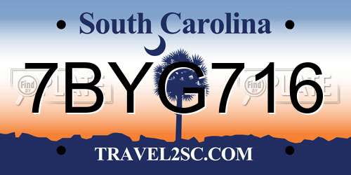 7BYG716 South Carolina License Plate