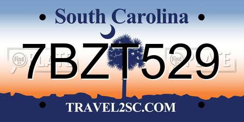 7BZT529 South Carolina License Plate