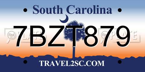 7BZT879 South Carolina License Plate
