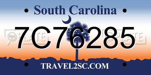 7C76285 South Carolina License Plate