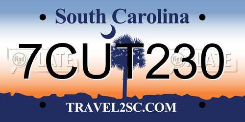 7CUT230 South Carolina License Plate