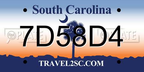 7D58D4 South Carolina License Plate