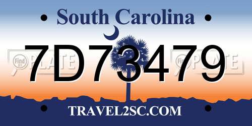 7D73479 South Carolina License Plate