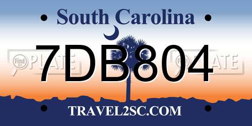 7DB804 South Carolina License Plate