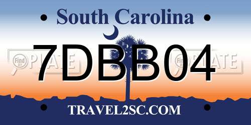 7DBB04 South Carolina License Plate