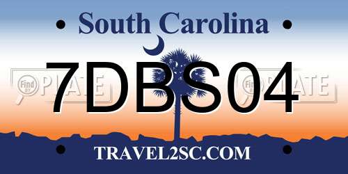 7DBS04 South Carolina License Plate