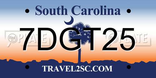 7DGT25 South Carolina License Plate